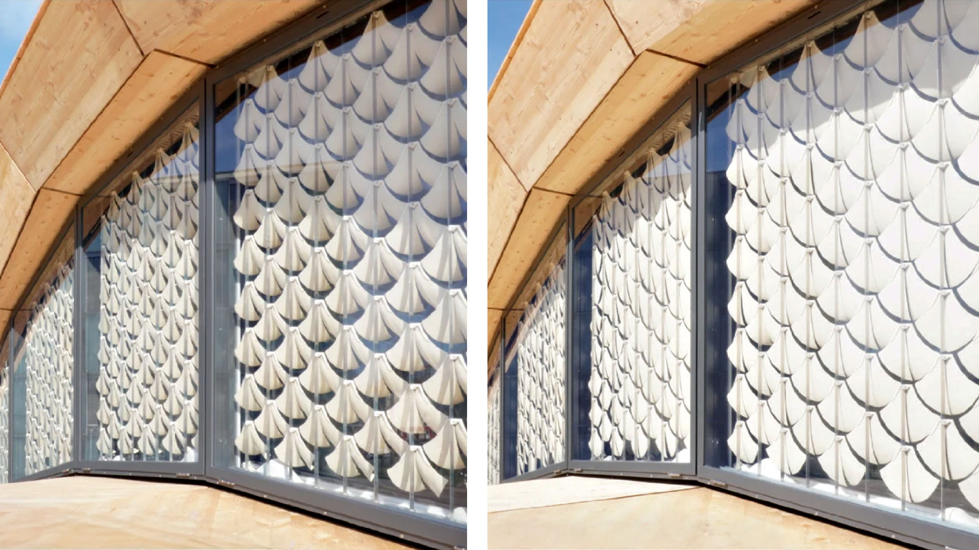 livMatS Biomimetic Shell