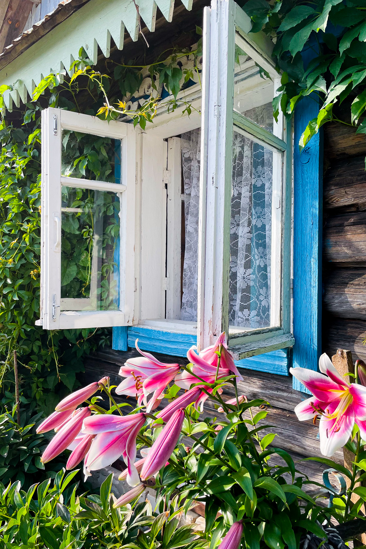 В гостях у бабушки