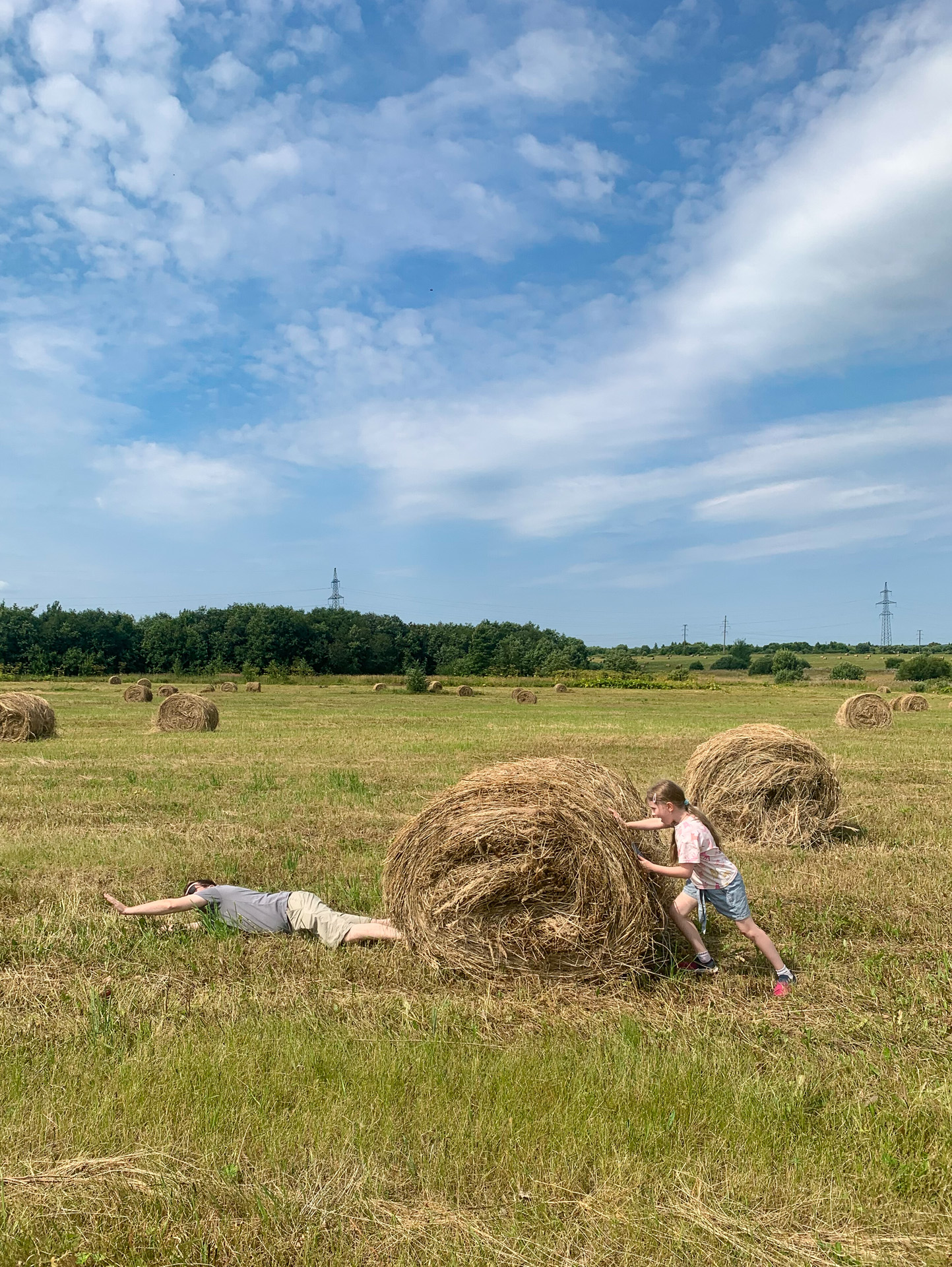 Папа, купи мне собаку!